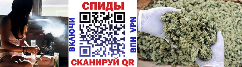 магазин продажи   Хотьково  Бутират буратино 