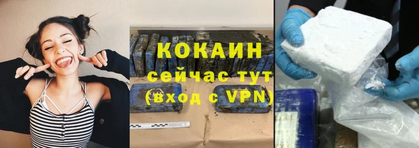 apvp Кукмор