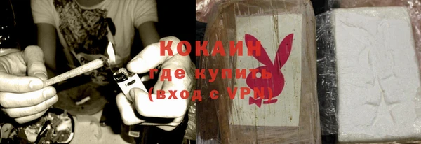 apvp Кукмор