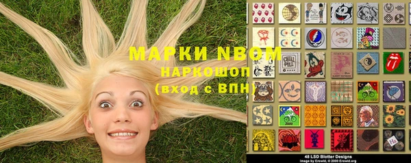 apvp Кукмор